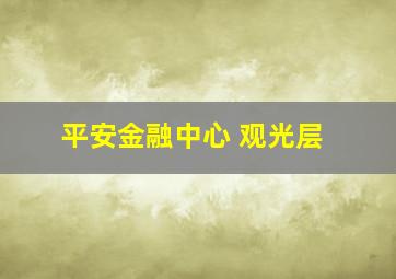 平安金融中心 观光层